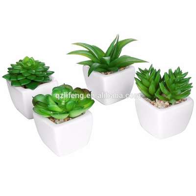 Modern White Ceramic Mini Potted Plants Flower Pots